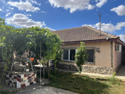 Oportunitate! Casa la sol, 4 camere si dependinte, livada, Sacele jud Constanta!